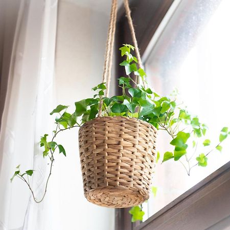 2 Zi.-Wohnung Stadtnah, Messenah ザルシュテット エクステリア 写真