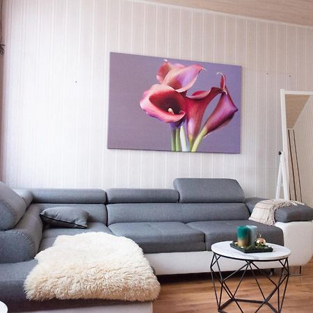2 Zi.-Wohnung Stadtnah, Messenah ザルシュテット エクステリア 写真