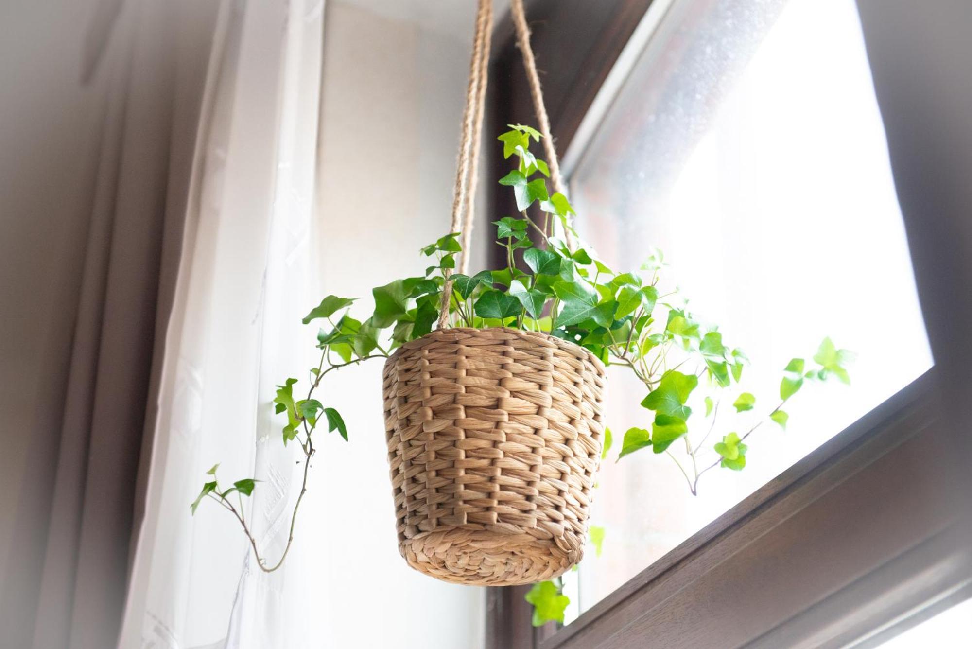 2 Zi.-Wohnung Stadtnah, Messenah ザルシュテット エクステリア 写真
